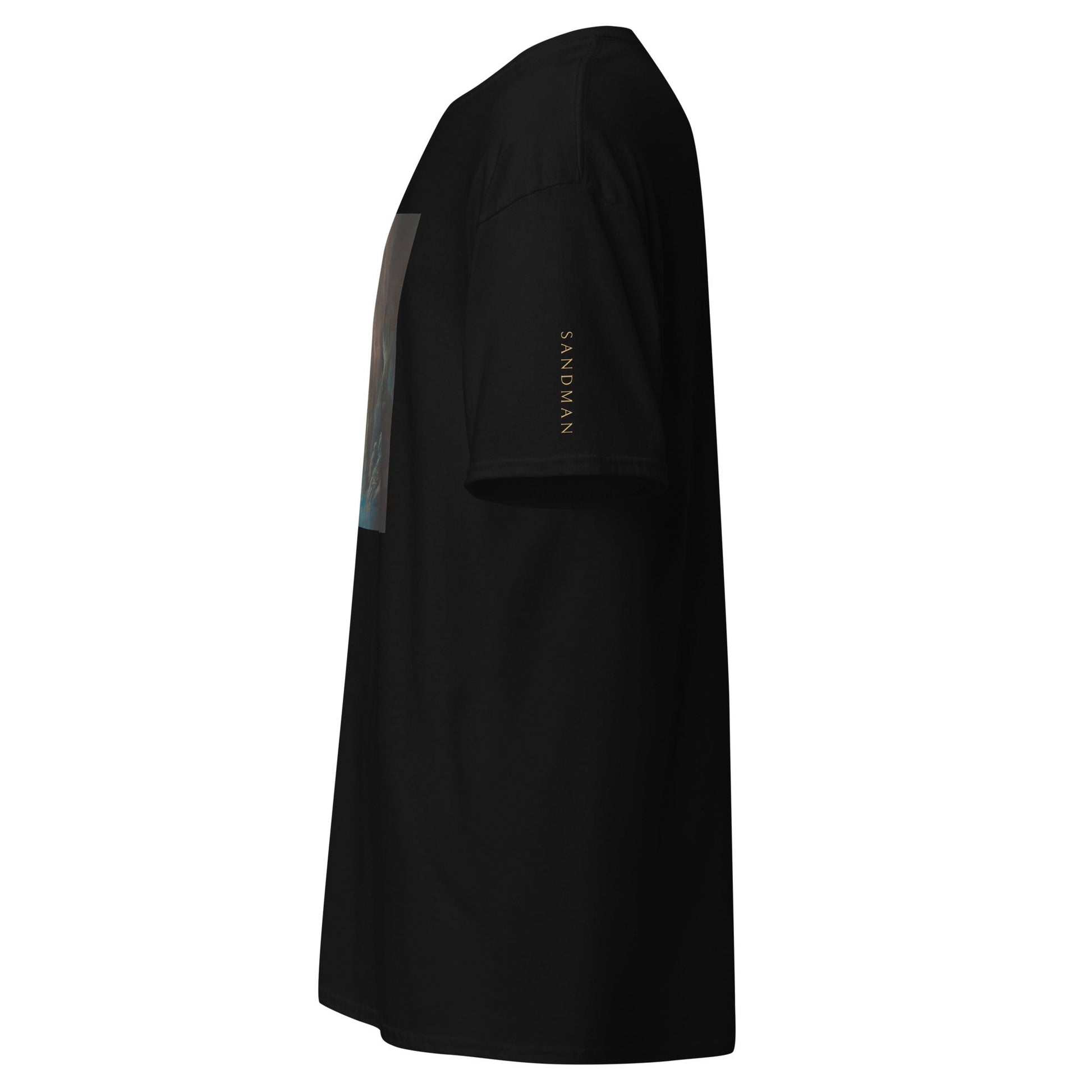 Sandman | The World We Don't See T-Shirt - Sandman